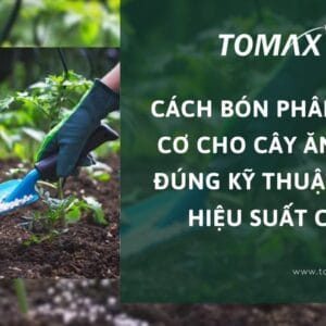 bón phân hữu cơ cho cây ăn quả