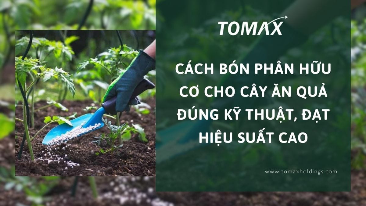 bón phân hữu cơ cho cây ăn quả