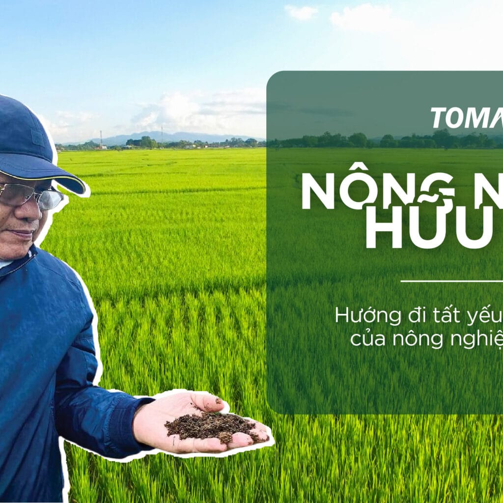 Tomax Holdings tạo ra dấu ấn tiên phong tạo ra chuỗi giá trị lúa gạo hữu cơ khép kín
