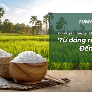 tomax holding với quy trình trồng lúa khép kín tạo ra bữa ăn ngon