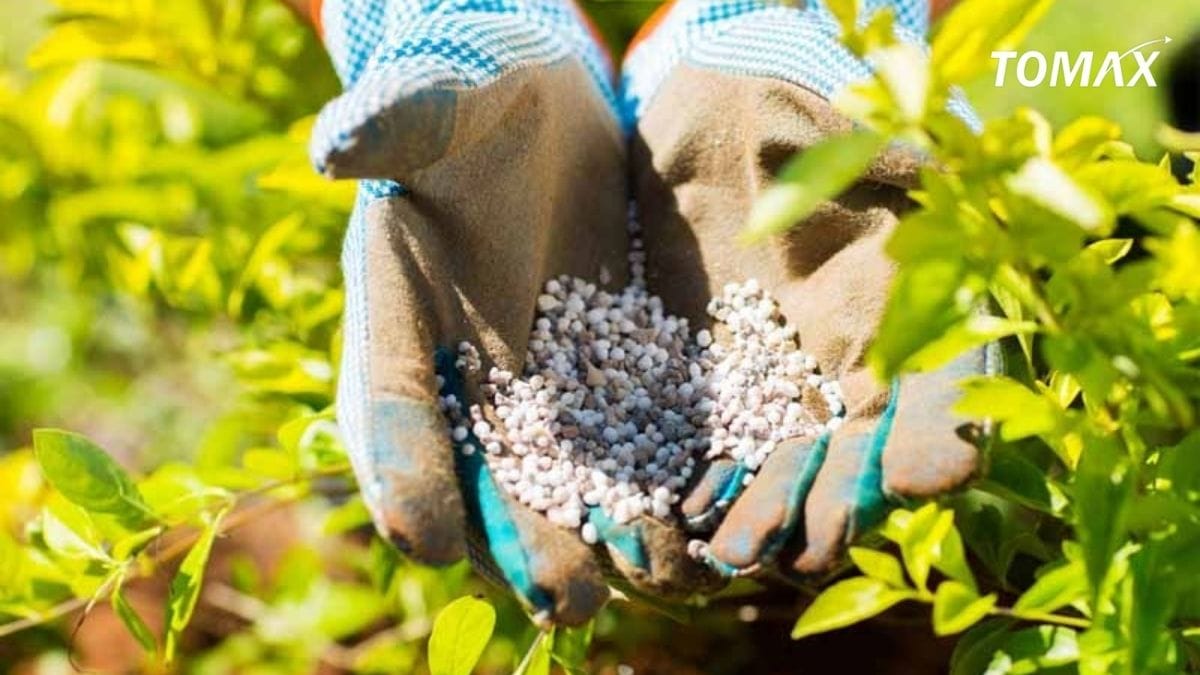 lưu ý khi sử dụng phân npk cho cây ăn trái