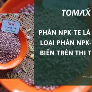 các loại phân npk-te