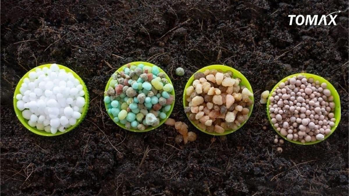 loại phân npk te nào tốt nhất