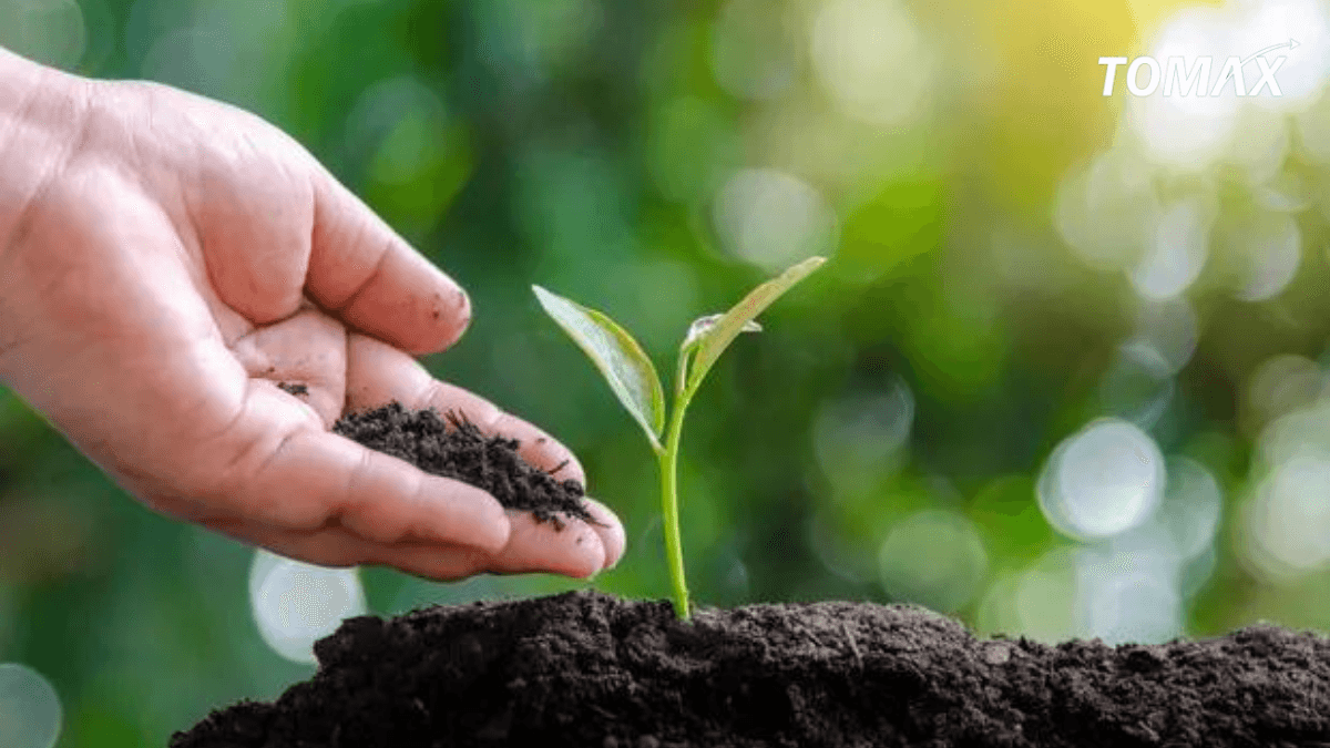 Cách sử dụng phân bón đúng cách