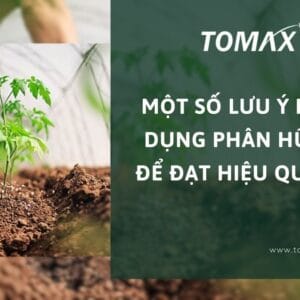 lưu ý khi sử dụng phân hữu cơ