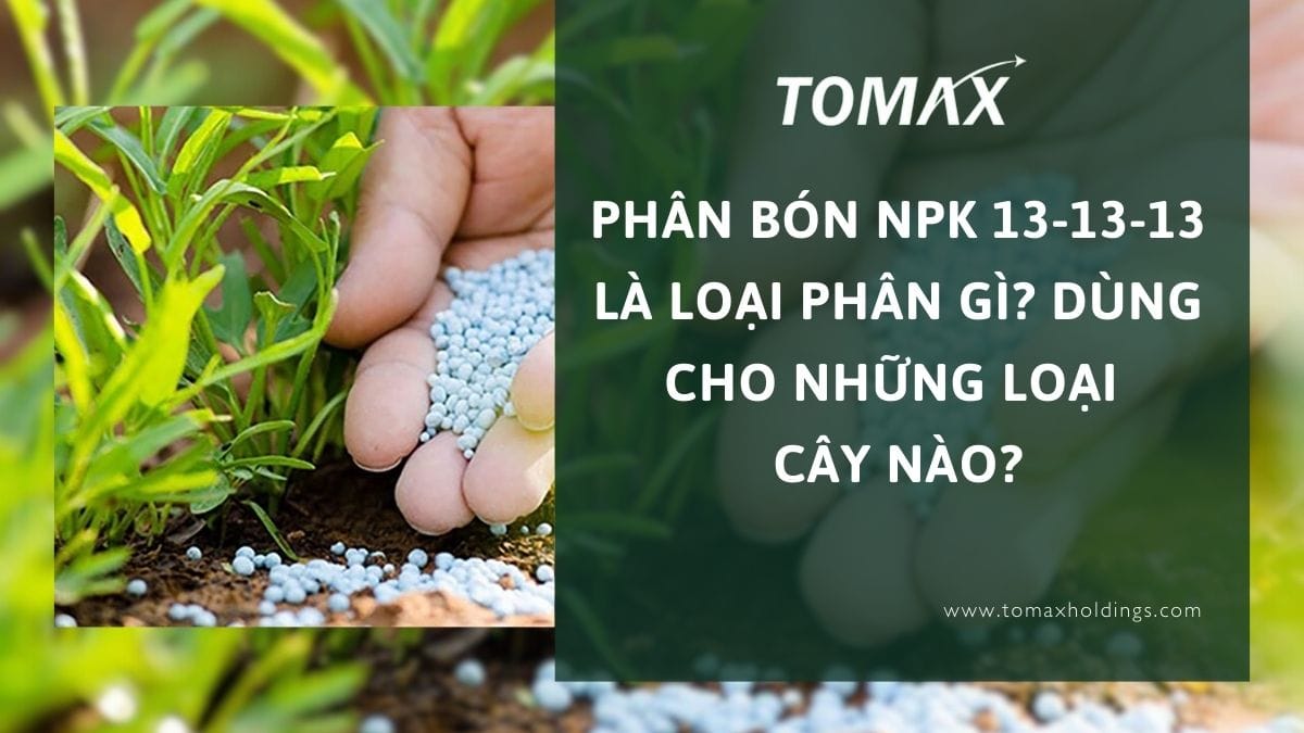 phân bón npk 13 13 13