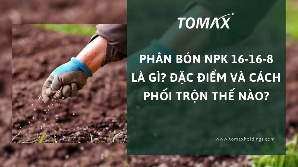 phân bón 16 16 8