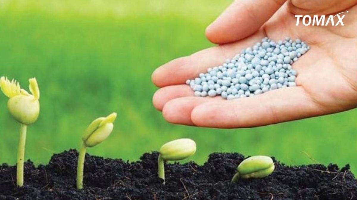 phân bón cao cấp better npk 13-13-6