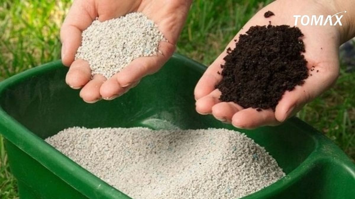 giá phân npk 16 16 8