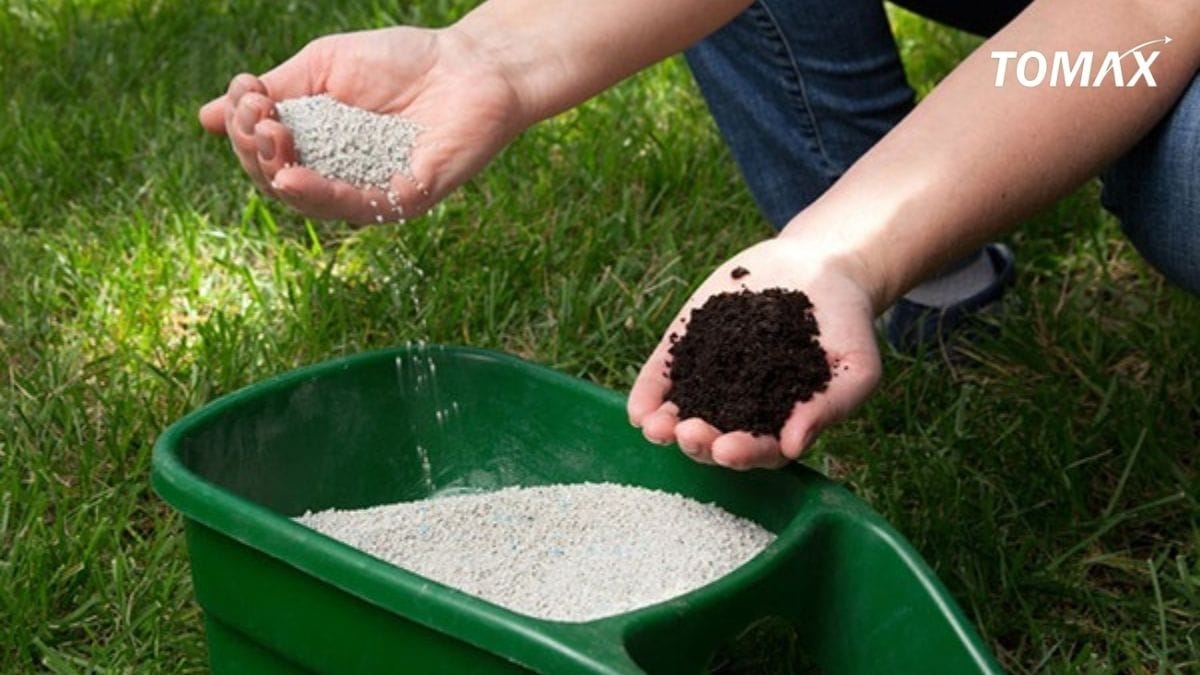 tác hại khi bón lân sai cách