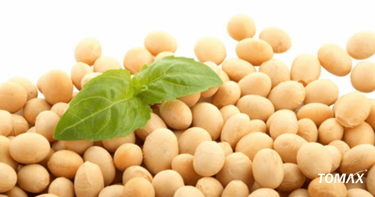 phân loại phân bánh dầu