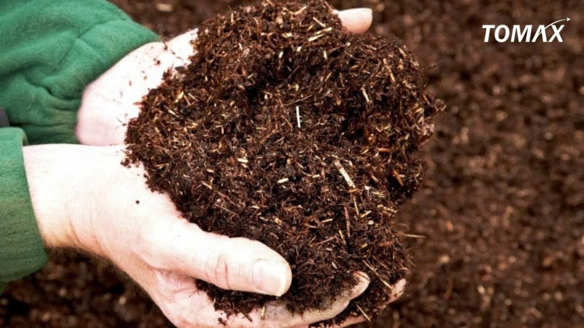 những loại phân chuồng được dùng nhiều trong nông nghiệp