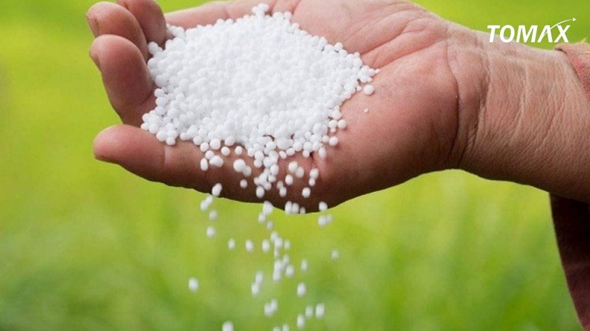 những loại phân đạm trên thị trường