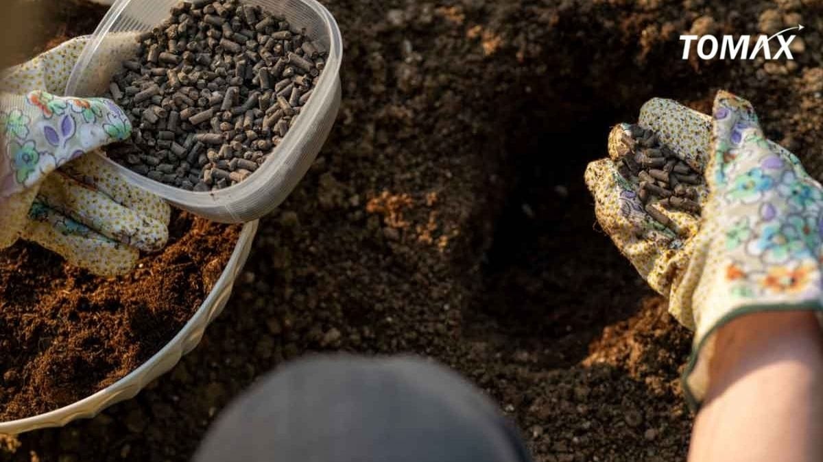 Những loại phân gà Nhật phổ biến hiện nay