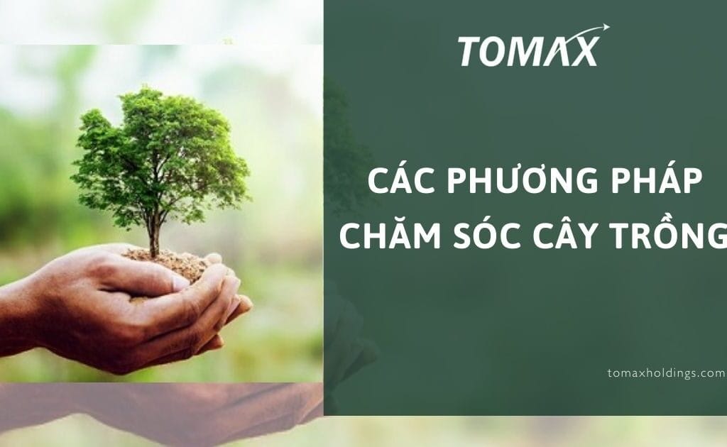 các phương pháp chăm sóc cây trồng