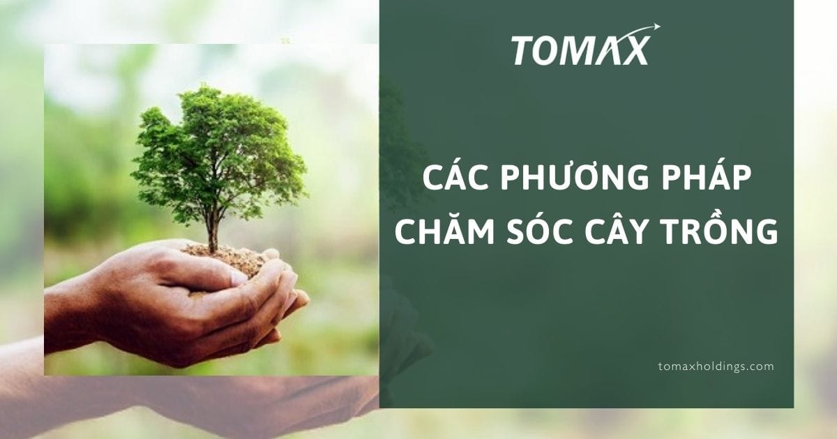 các phương pháp chăm sóc cây trồng