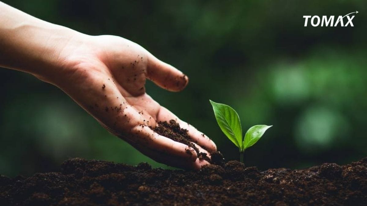 Hướng dẫn cách bón phân gà Nhật Bản