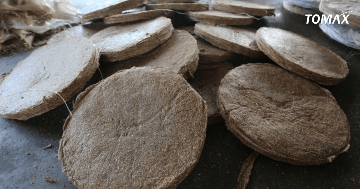 kỹ thuật bón phân bánh dầu