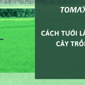 cách tưới lân cho cây