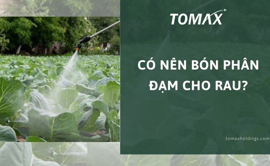 có nên bón phân đạm cho rau