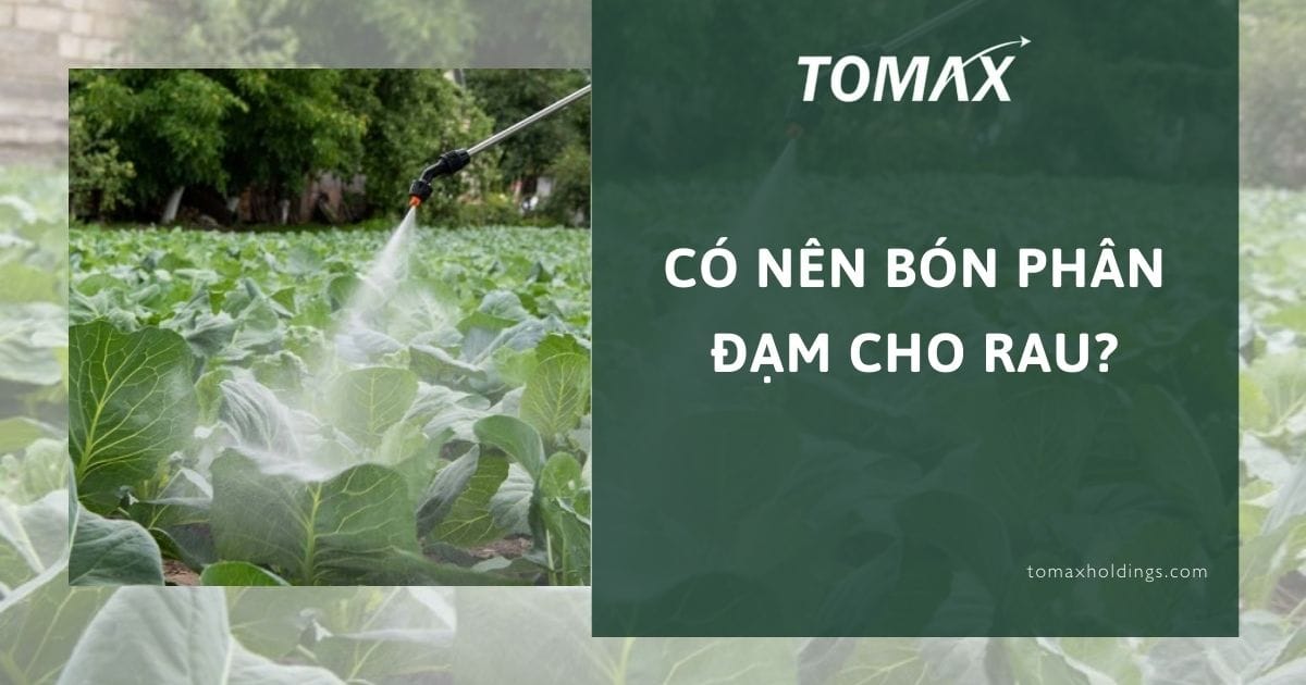 có nên bón phân đạm cho rau