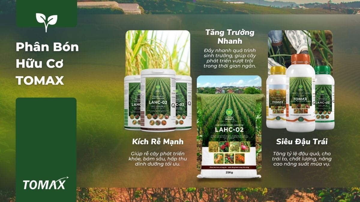 cửa hàng phân bón hữu cơ giá tốt ở tphcm