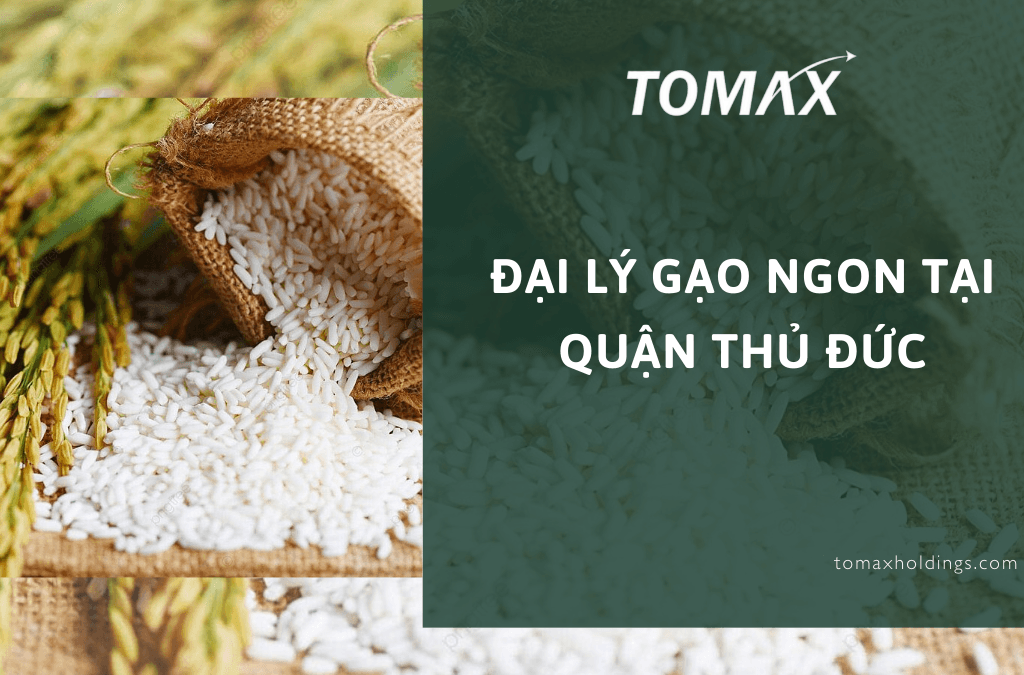 đại lý gạo ngon tại quận Thủ Đức