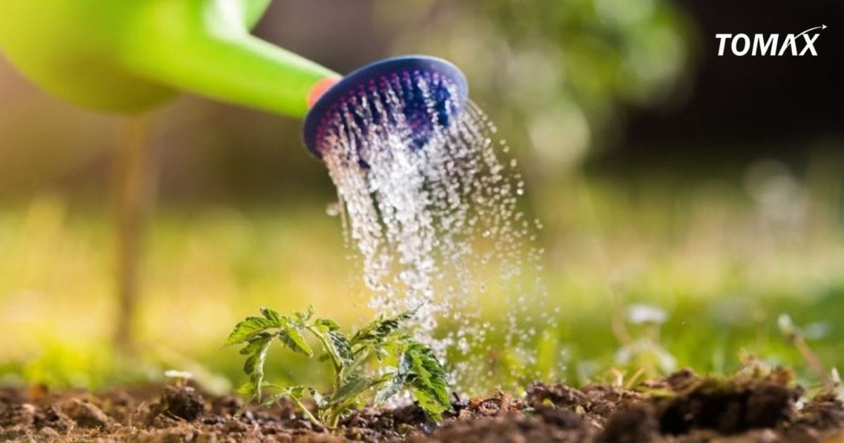 dấu hiệu bạn cần chăm sóc cây trồng tốt hơn