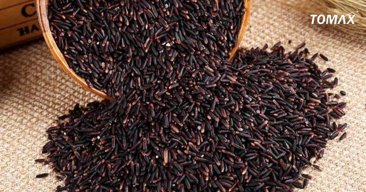 mua gạo lứt ở đâu chất lượng