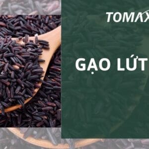 gạo lứt đen