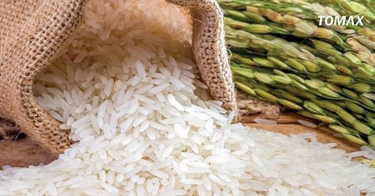 giá gạo thái lan