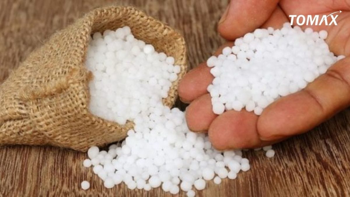 những ảnh hưởng khi bón phân đạm sai cách