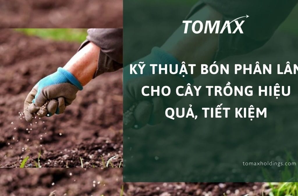 kỹ thuật bón phân lân cho cây trồng