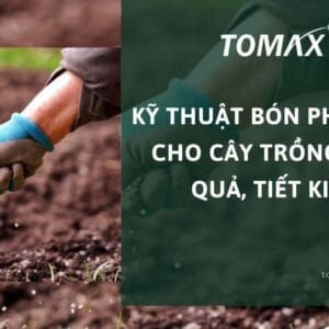 kỹ thuật bón phân lân cho cây trồng