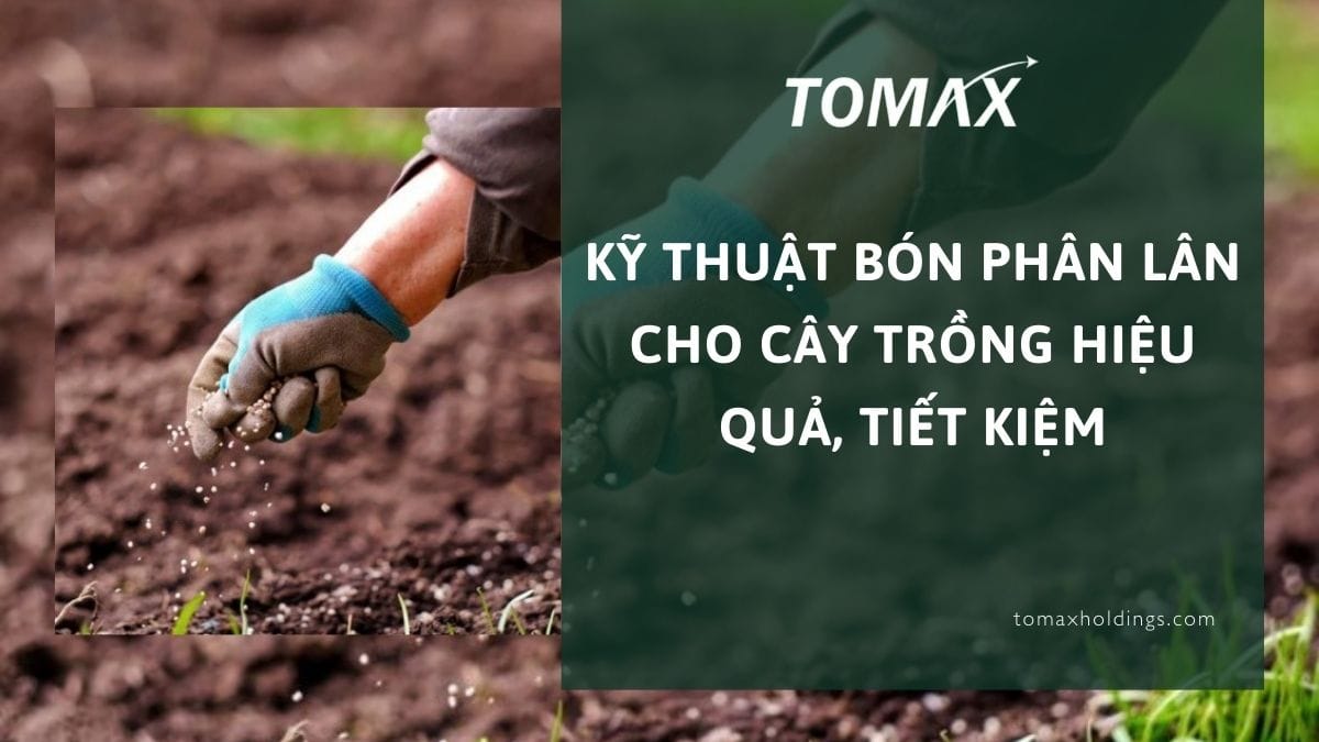 kỹ thuật bón phân lân cho cây trồng