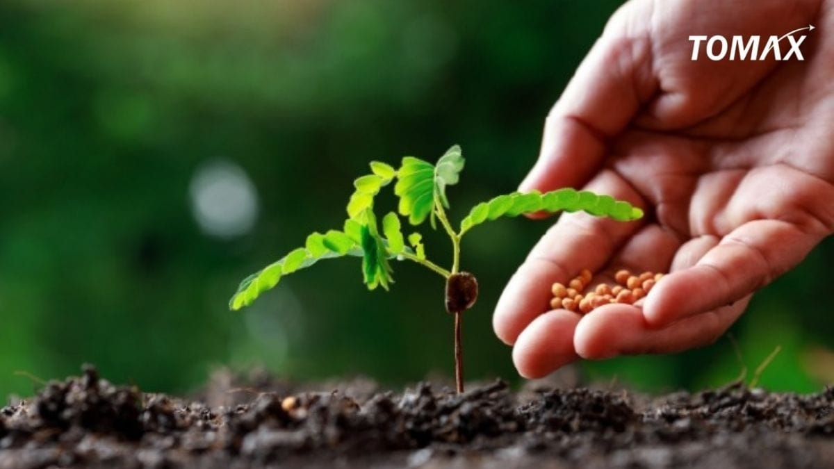 kỹ thuật sử dụng phân bón đúng cách