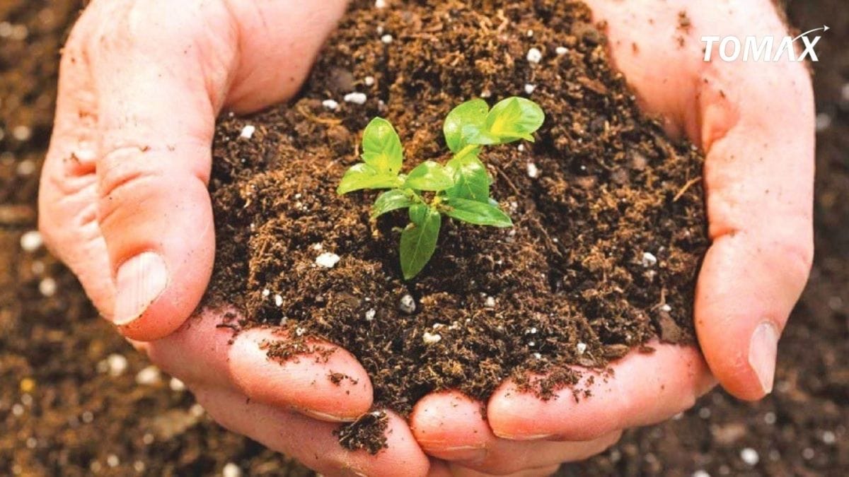 ưu điểm của phân chuồng