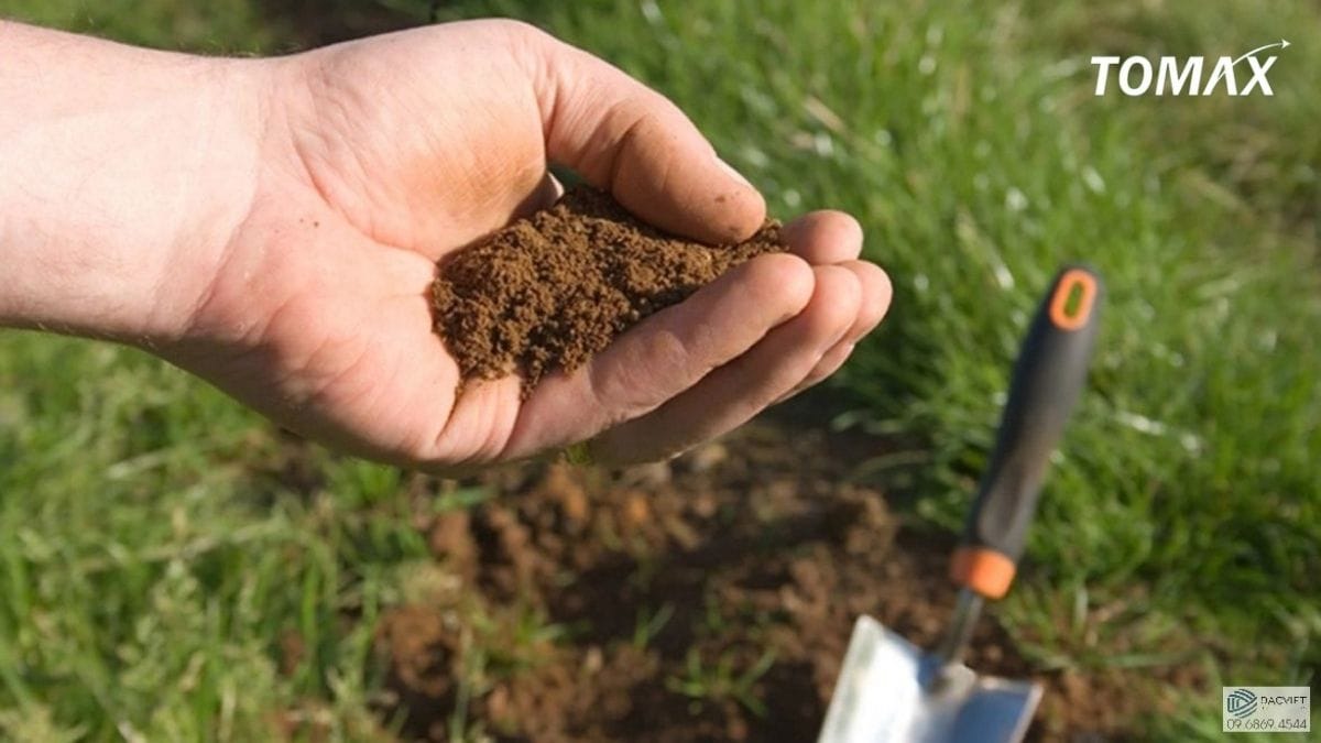 sử dụng phân gà Nhật Bản cần lưu ý gì