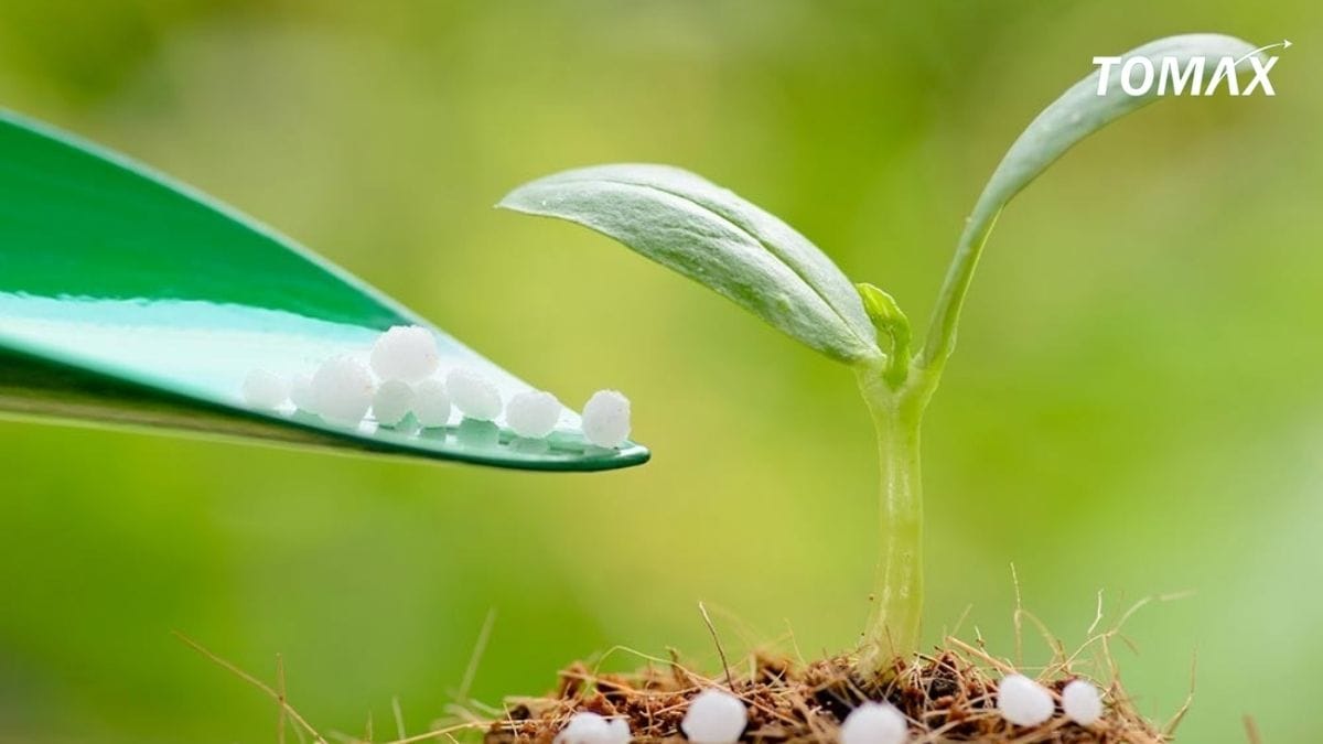 một số lưu ý khi thực hiện cách bón phân lân cho cây