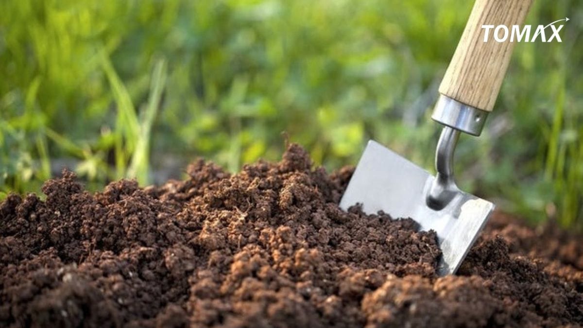 khi dùng phân chuồng cần lưu ý gì