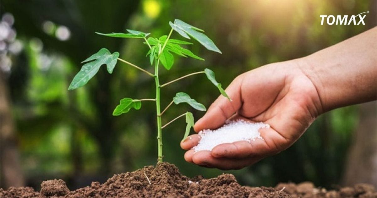 địa điểm bán phân bón tại quận Thủ Đức