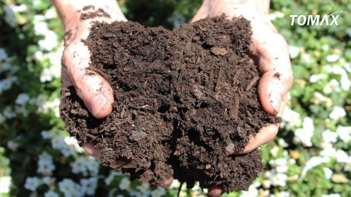 hạn chế của phân chuồng