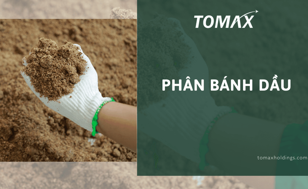phân bánh dầu