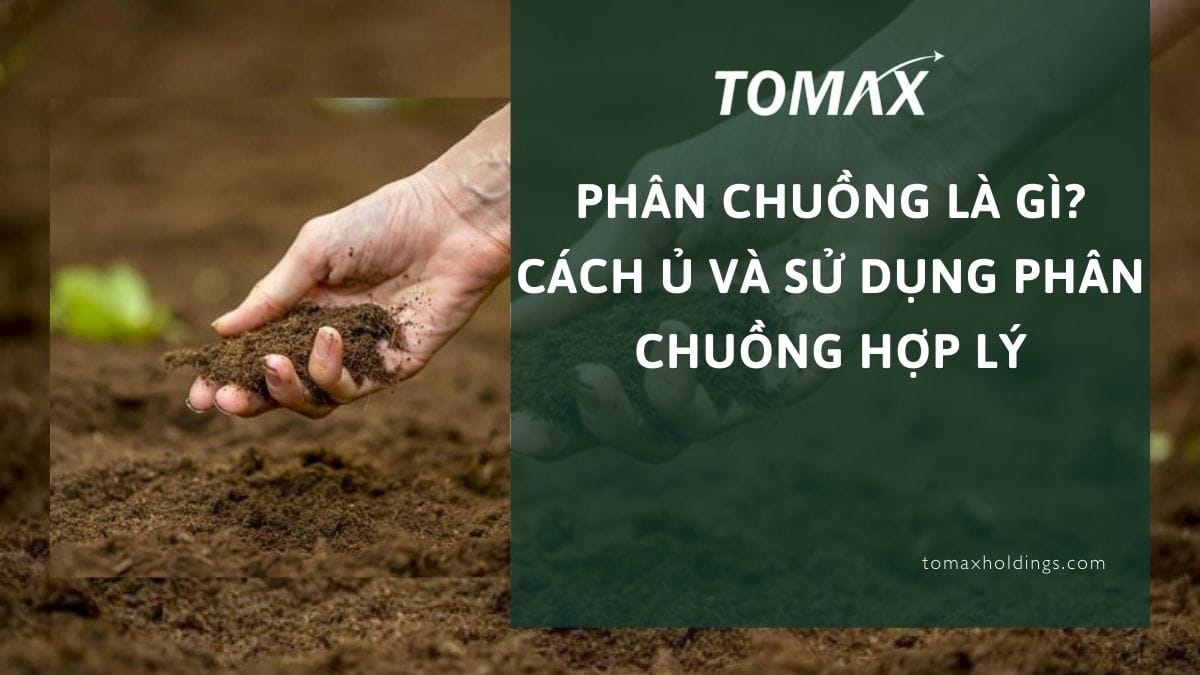 phân chuồng là gì