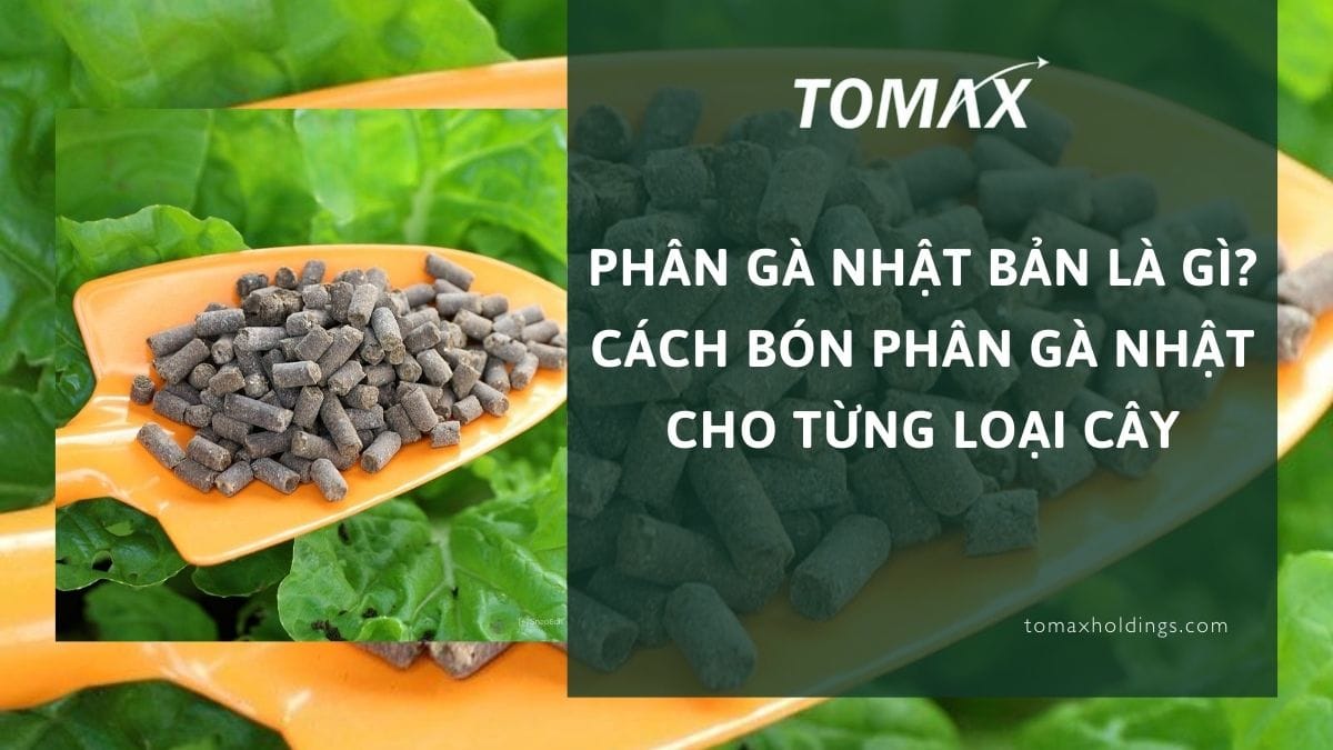 Phân gà Nhật Bản