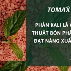 phân kali
