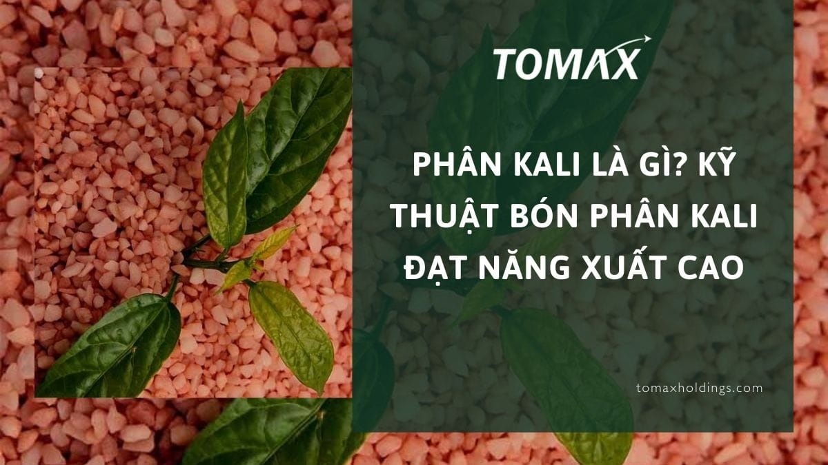 phân kali