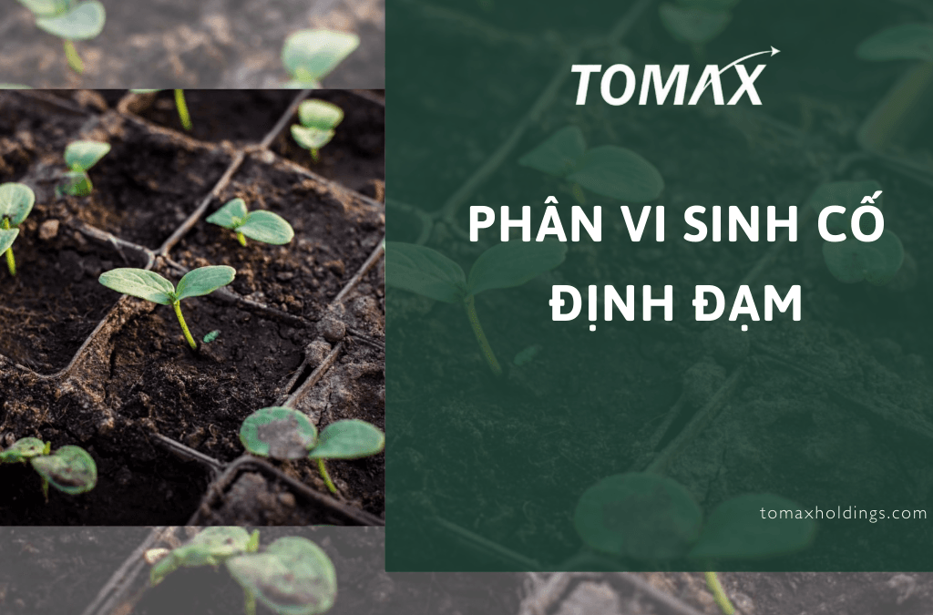 phân vi sinh cố định đạm