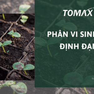 phân vi sinh cố định đạm