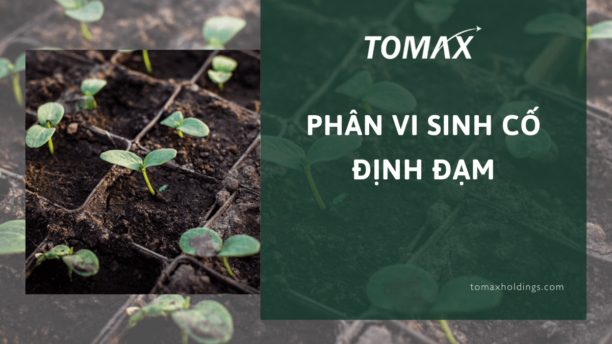 phân vi sinh cố định đạm